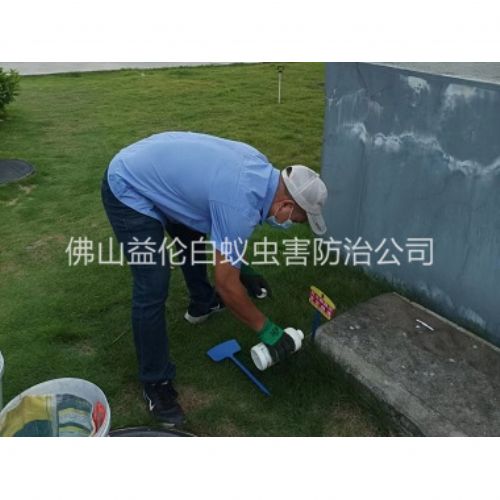 南海灭除红火蚁工程